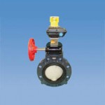 Type-57-Butterfly-Valve-w-W